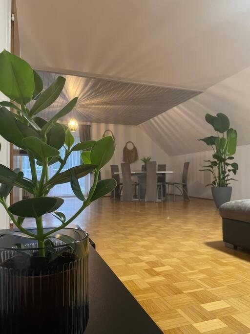 Fewo Boho 110 Qm Mit Bergblick 3 Min Bahnhof Apartment Laufen Luaran gambar